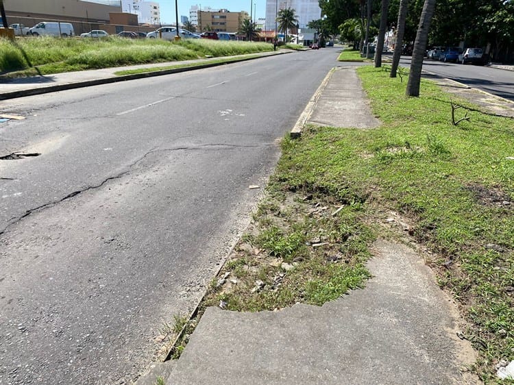 Reportan ‘enormes’ baches en la avenida de las Palmeras en Boca del Río