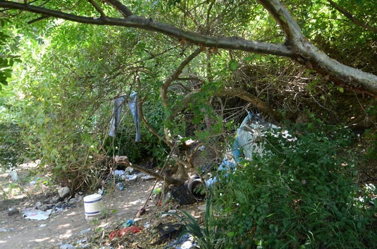 Hallan sin vida a centroamericano en lote baldío de Veracruz (+Video)