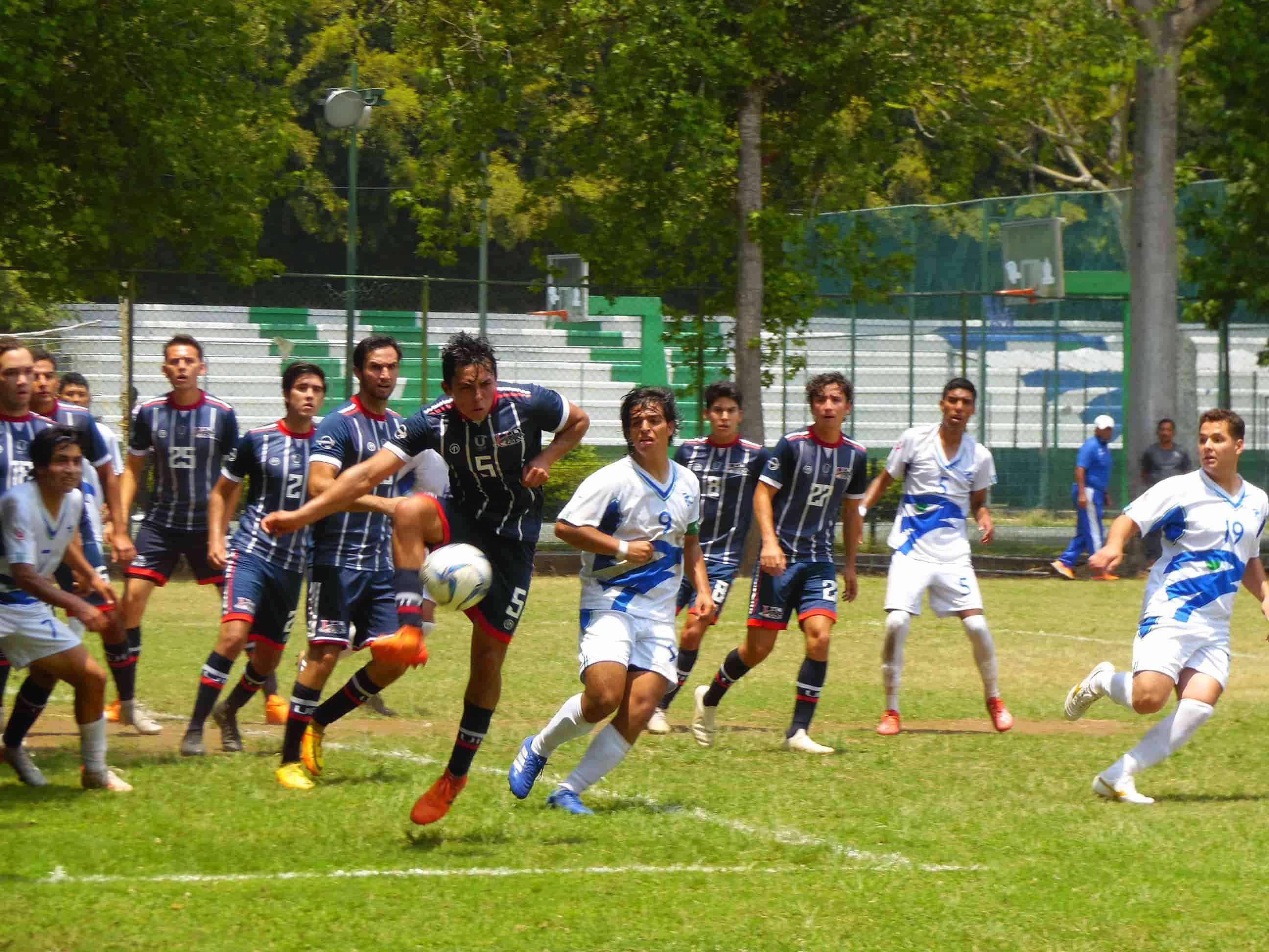 Alista Halcones plumaje para tres disciplinas