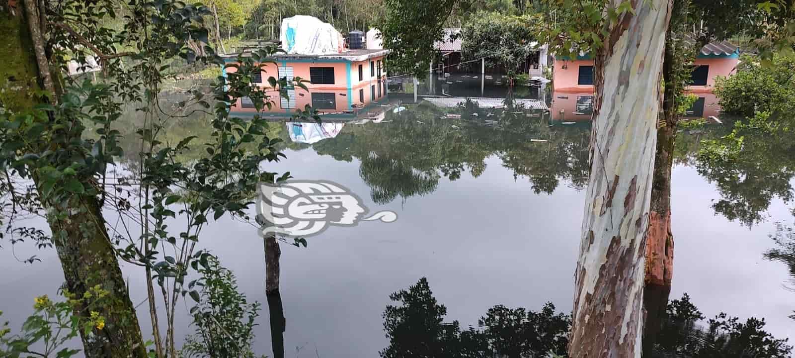 En Arenales, en Xalapa, maquinaria trabaja ante inundación; hay una taponadura