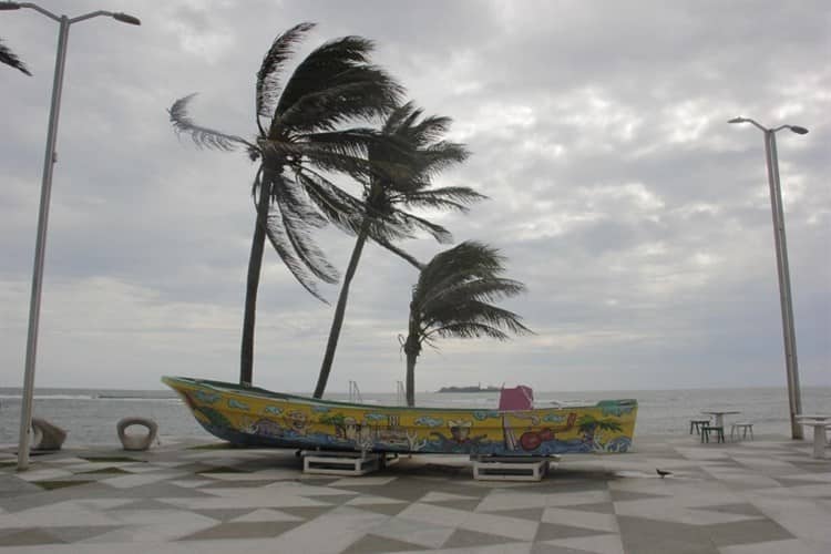 Toma precauciones: rachas de viento se intensifican en bulevar Ávila Camacho