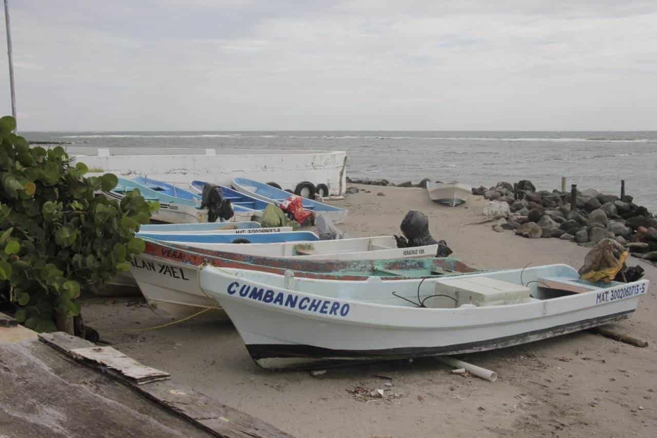 ¡En picada! Ingresos de pescadores en Veracruz por frente frío