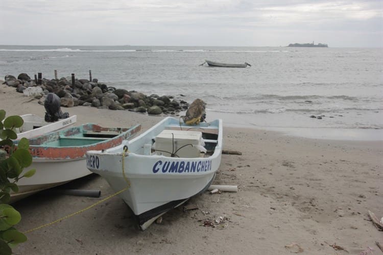 ¡En picada! Ingresos de pescadores en Veracruz por frente frío