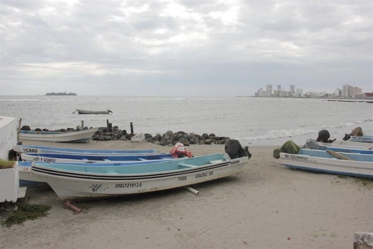 ¡En picada! Ingresos de pescadores en Veracruz por frente frío