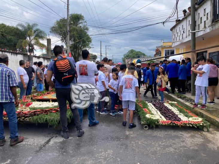 Alfombra elaborada con aserrín colorea las calles de Coatepec