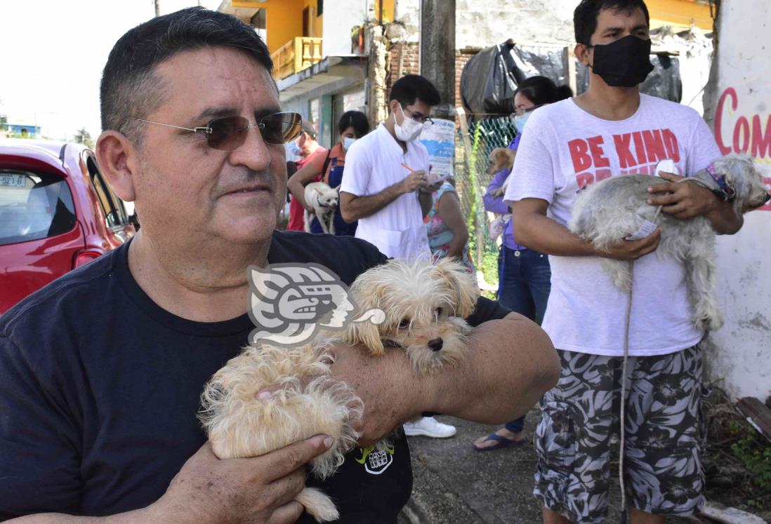 Emiten recomendaciones para proteger a mascotas ante las lluvias