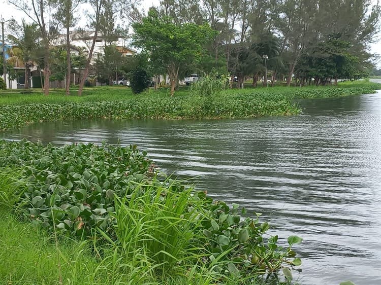 Video: Vecinos urgen vigilancia y limpieza en Laguna Olmeca, en Veracruz