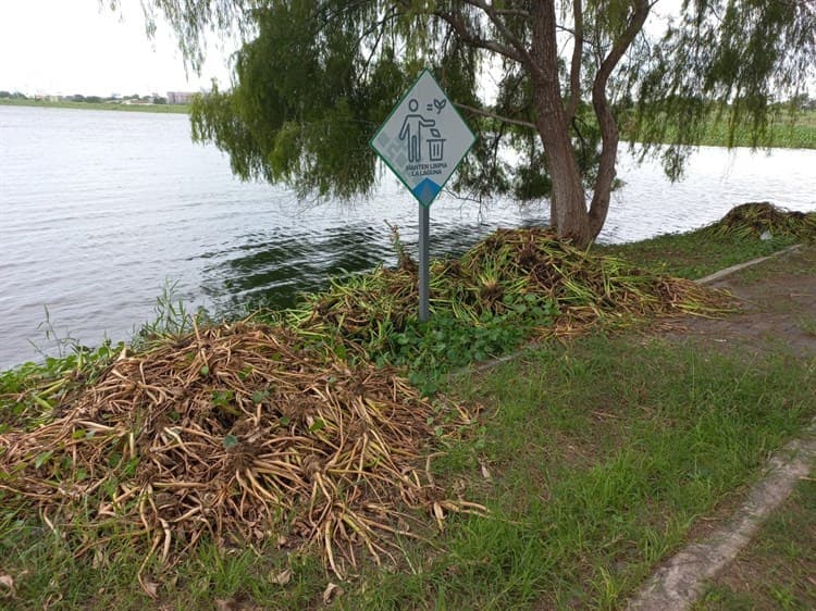 Video: Vecinos urgen vigilancia y limpieza en Laguna Olmeca, en Veracruz