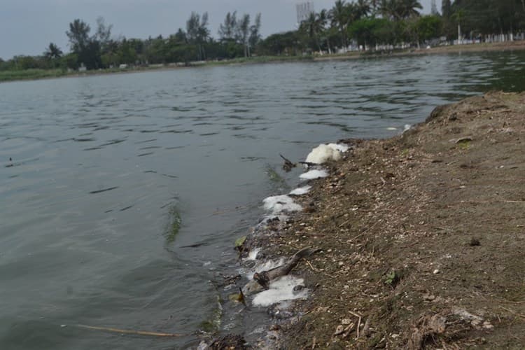 Video: Vecinos urgen vigilancia y limpieza en Laguna Olmeca, en Veracruz