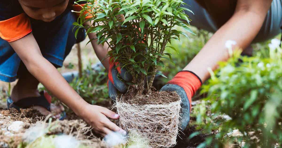 Capacidad de carga del Medio Ambiente