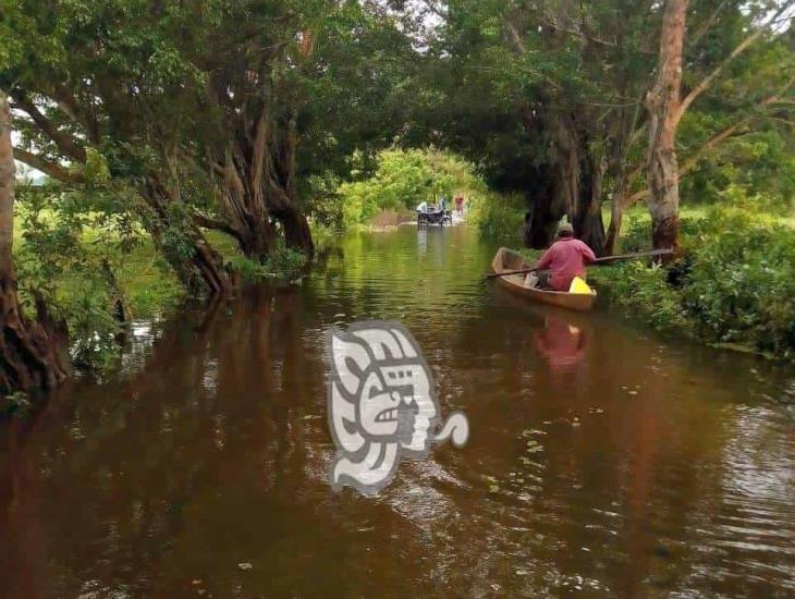 Se desborda río Uxpanapa, viviendas comienzan a verse afectadas