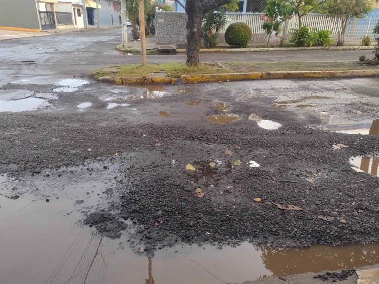 ¿Cuáles son las causas de que haya baches y socavones en Veracruz?