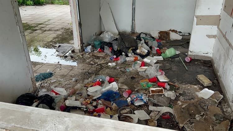 En abandono, exedificio del Instituto Municipal de la Mujer en Veracruz (+Video)