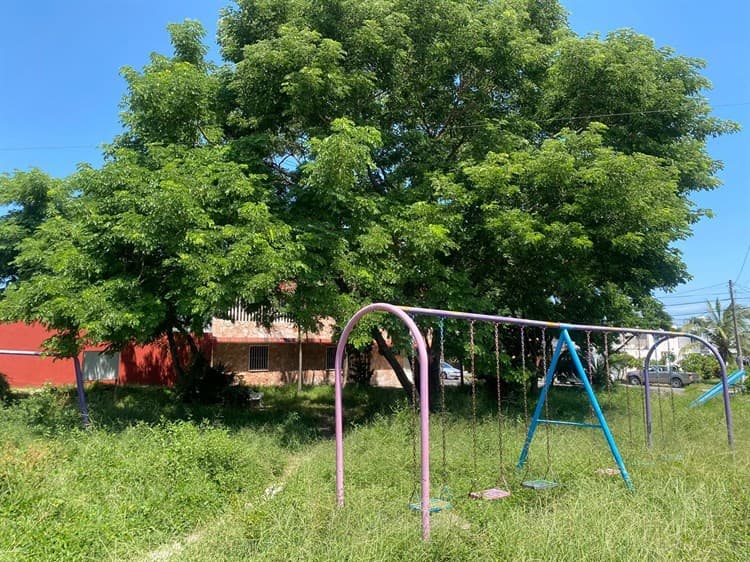 Denuncian descuido del parque Río Medio en Veracruz; se encuentra lleno de maleza