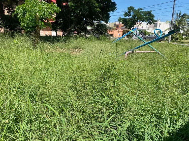 Denuncian descuido del parque Río Medio en Veracruz; se encuentra lleno de maleza