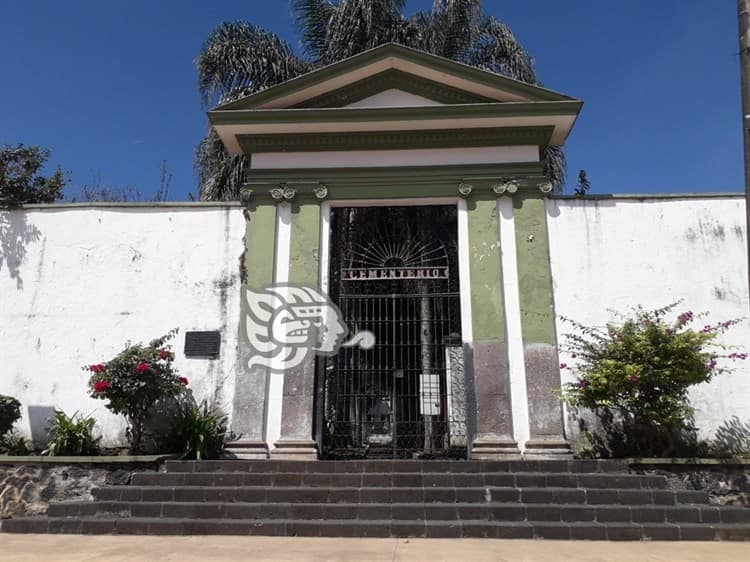 Halloween y rituales de magia negra: la sentencia de muerte de los gatos