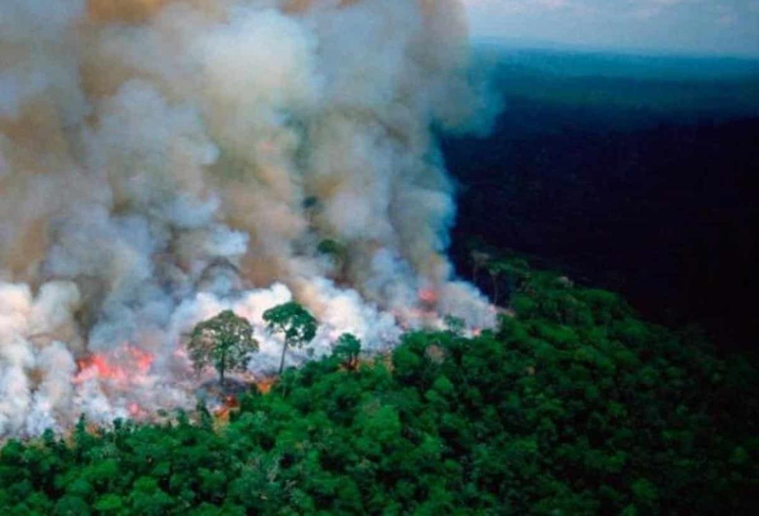 Brasil, con los peores incendios forestales en más de 10 años