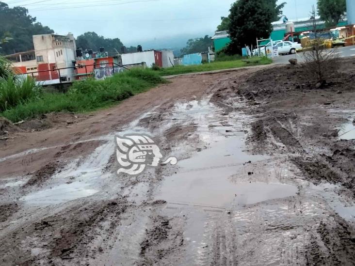 ¡Intransitable! Constructora de CMAS Xalapa destroza la calle Porfirio Serrano