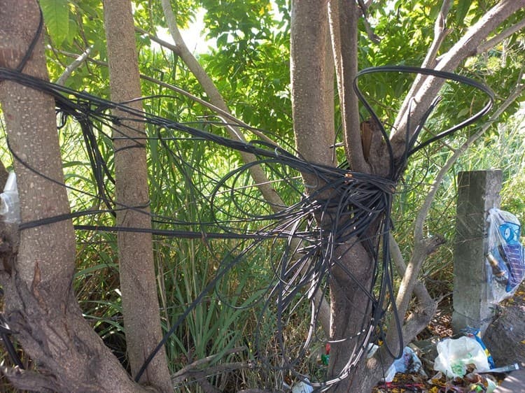 Proponen convertir en parques o canchas los edificios abandonados en Veracruz