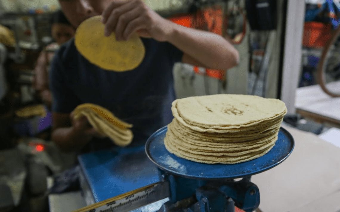 Diputados piden subsidio para tortilla en Presupuesto de Egresos 2023