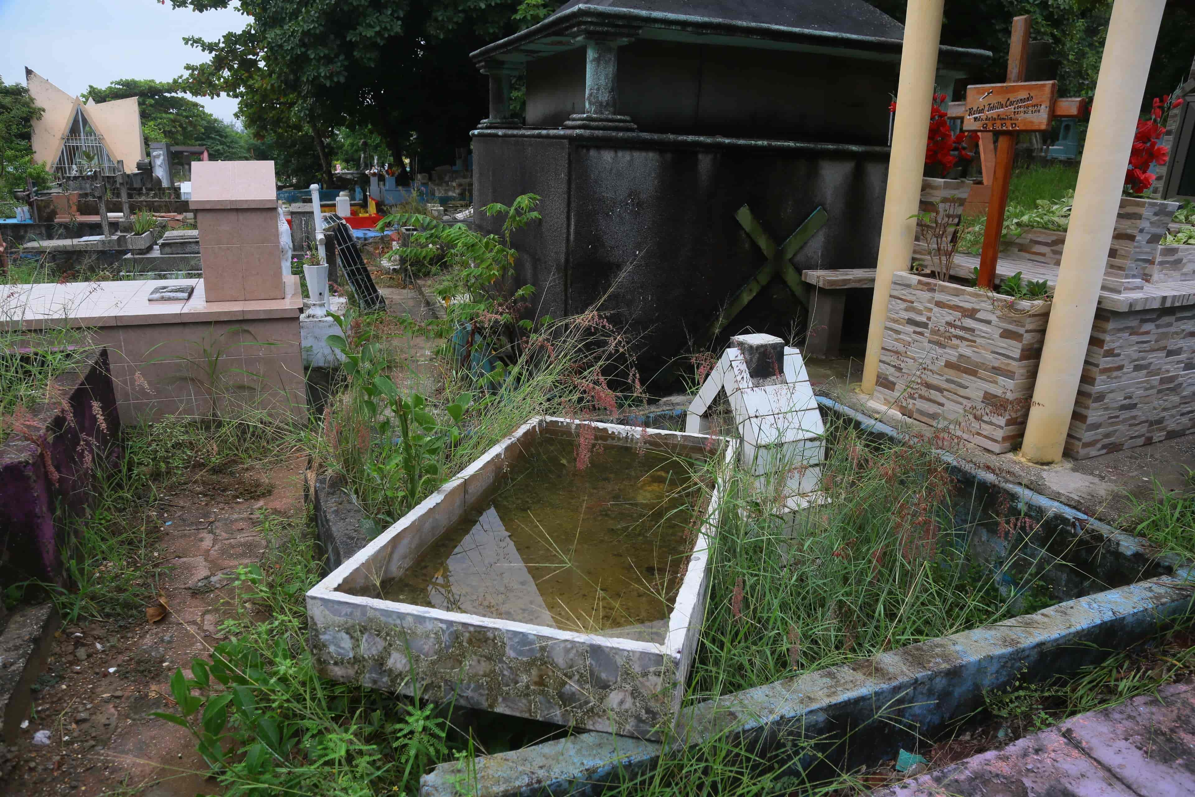 Coatzacoalcos, puntero en dengue: SSA; 193 en una semana(+Video)