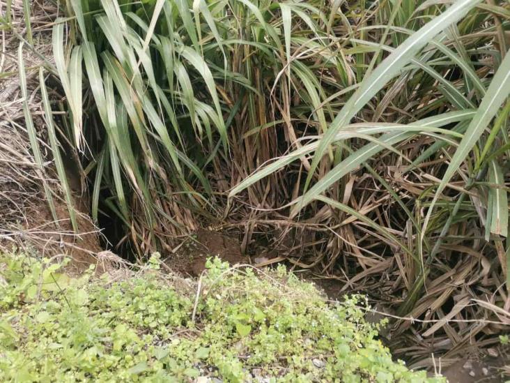 Detectan cuatro socavones más en camino de terracería Aljojuca-Guayabal en Atzacan