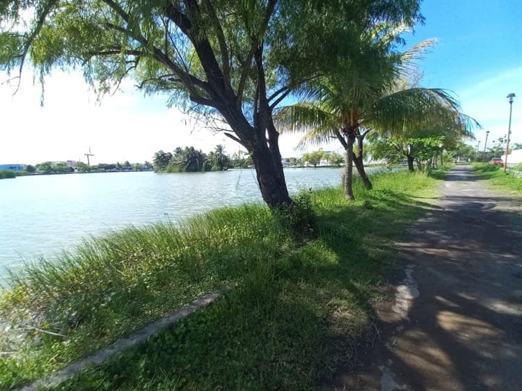 ¡No es la Atlántida! Bajo la laguna de Malibrán en Veracruz, hubo un fraccionamiento