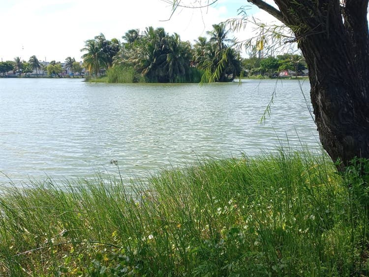 ¡No es la Atlántida! Bajo la laguna de Malibrán en Veracruz, hubo un fraccionamiento