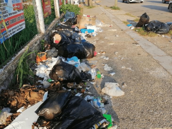 Montones de basura dan la bienvenida a visitantes en la Central Camionera