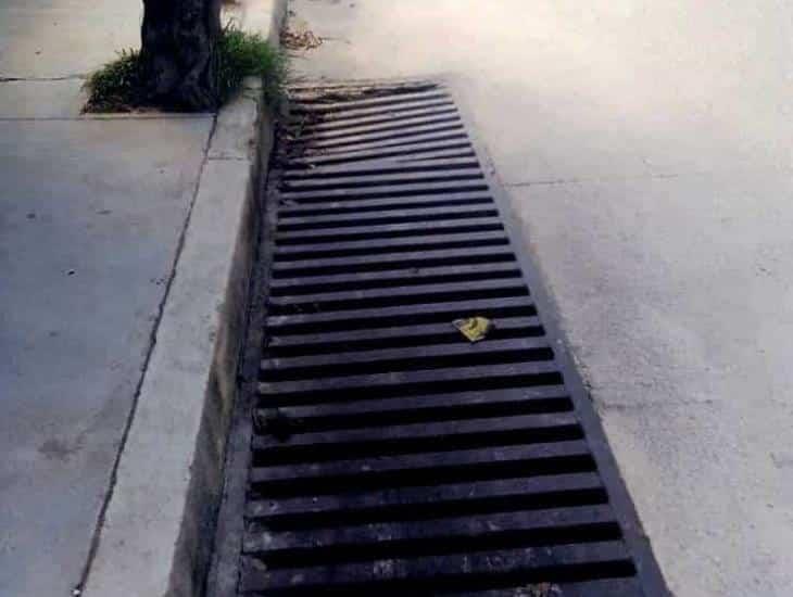 Llaman en Zaragoza a no tirar basura en calles y alcantarillas