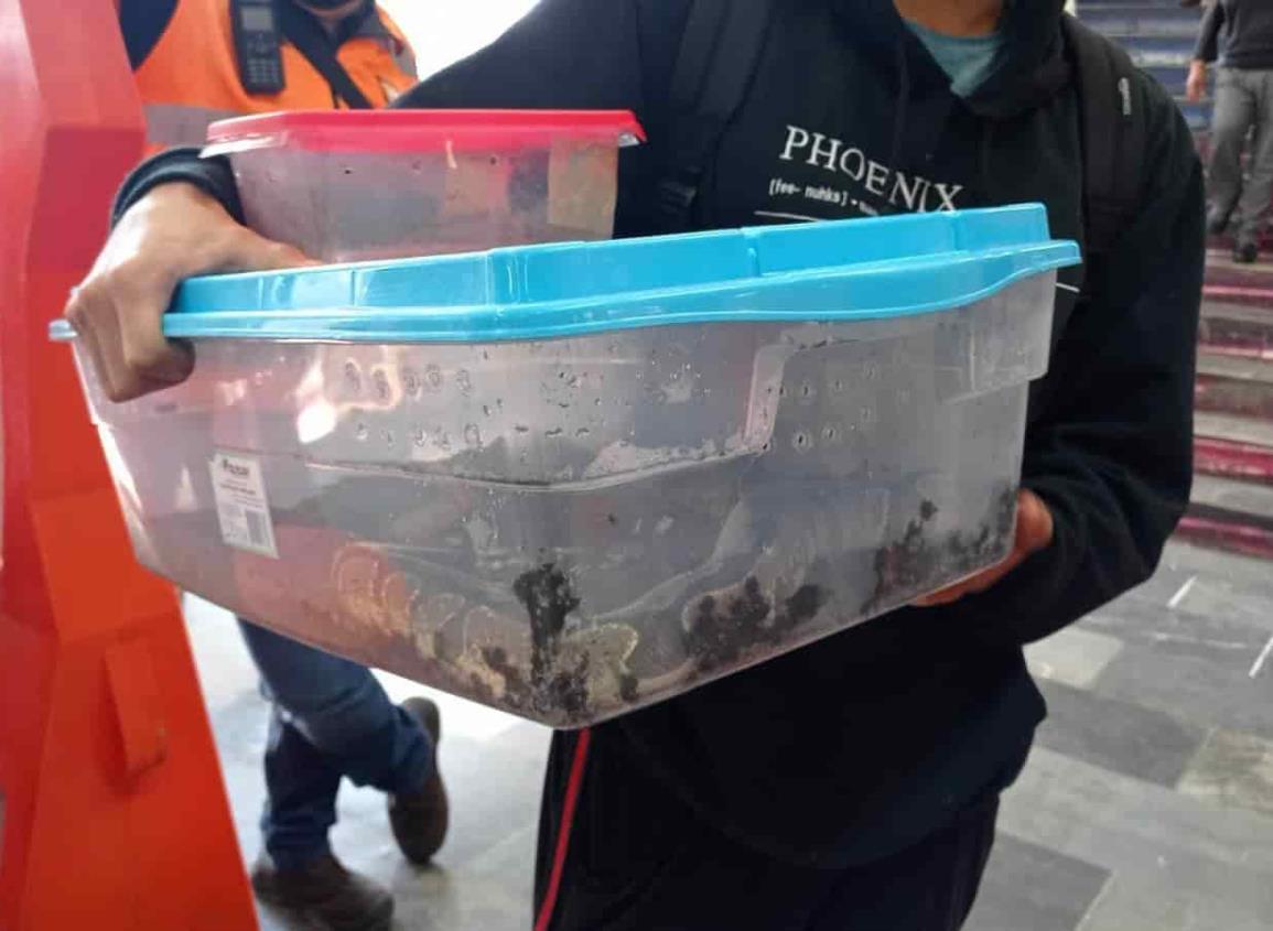 Detienen a usuario del Metro que transportaba una serpiente en la CDMX