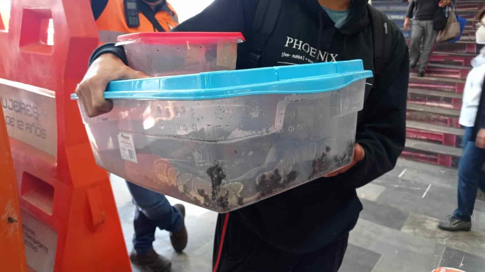 Detienen a usuario del Metro que transportaba una serpiente en la CDMX