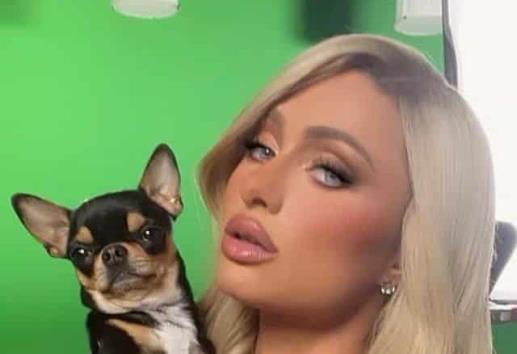 Paris Hilton contrata a médiums para encontrar a su perrito chihuahua
