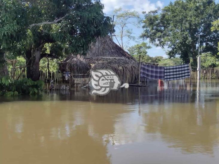 Permanecen viviendas de La Concepción en el agua; el Uxpanapa no disminuye