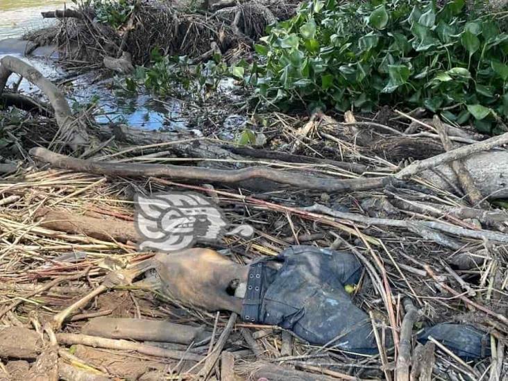 Localizan cuerpo putrefacto a orilla de río, en zona rural de Ciudad Isla