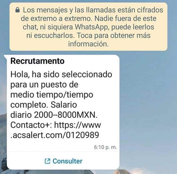 ¡Atención! Profeco alerta por 5 tipos de estafas que se dan vía WhatsApp