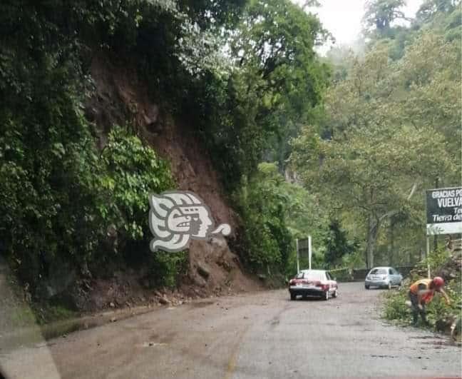 Se registra derrumbe en la barranca de Teocelo; circulación ya fue abierta