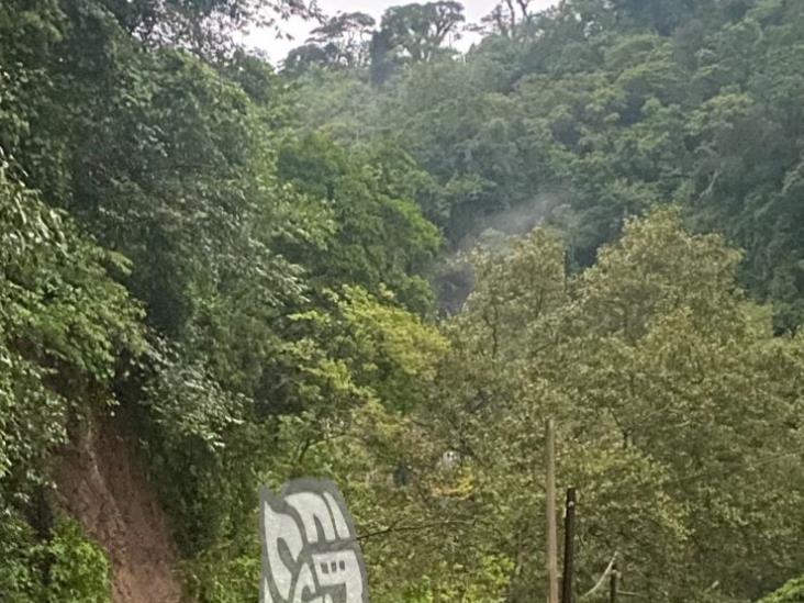 Se registra derrumbe en la barranca de Teocelo; circulación ya fue abierta