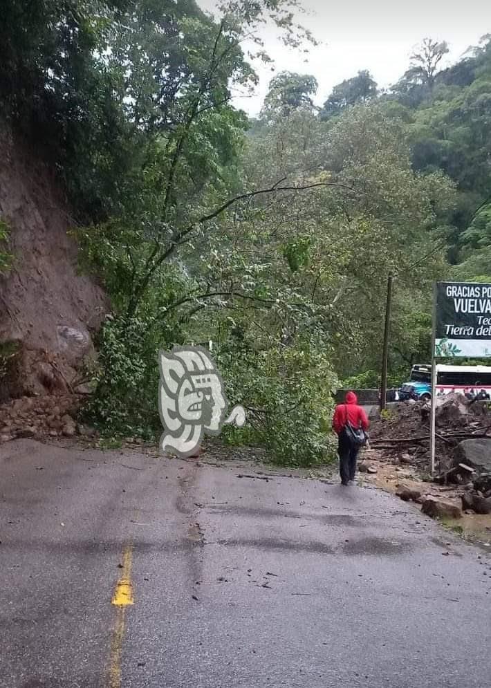 Se registra derrumbe en la barranca de Teocelo; circulación ya fue abierta