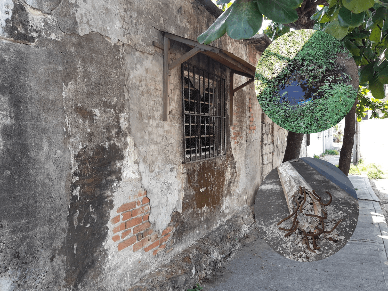 Brillan por su ausencia CFE y ayuntamiento en colonia centro de Veracruz