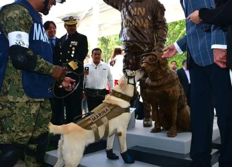 ¿Te acuerdas de Frida, la perrita rescatista en sismos? Ahora tiene su propia estatua