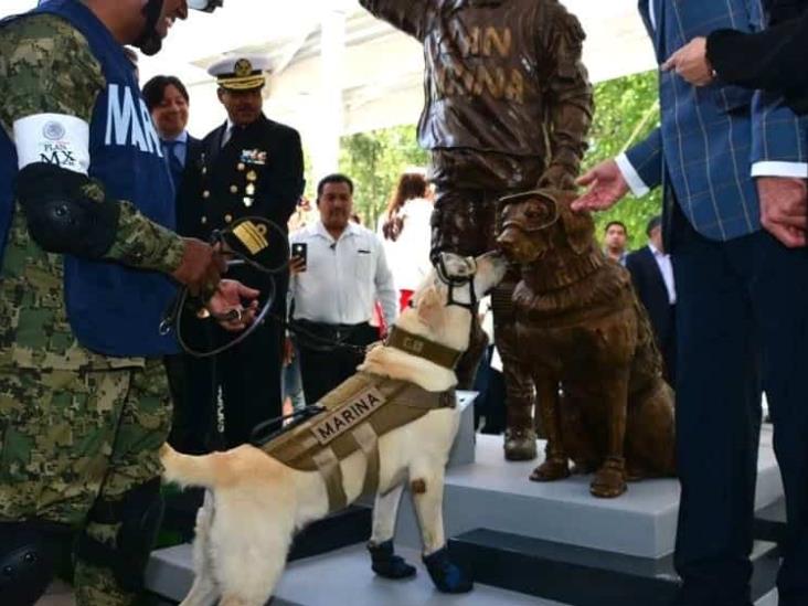 ¿Te acuerdas de Frida, la perrita rescatista en sismos? Ahora tiene su propia estatua