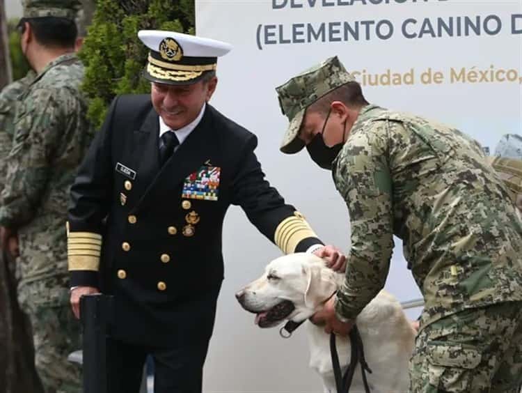 ¿Te acuerdas de Frida, la perrita rescatista en sismos? Ahora tiene su propia estatua