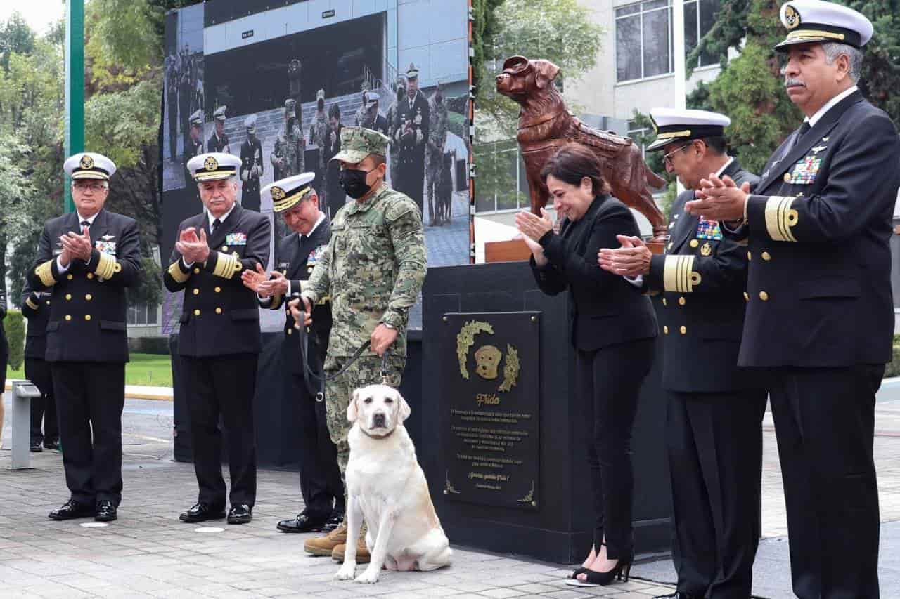 Develan estatua de perrita rescatista Frida