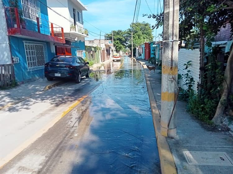 Vecinos en colonia de Veracruz viven entre aguas negras, urgen a Grupo MAS solución