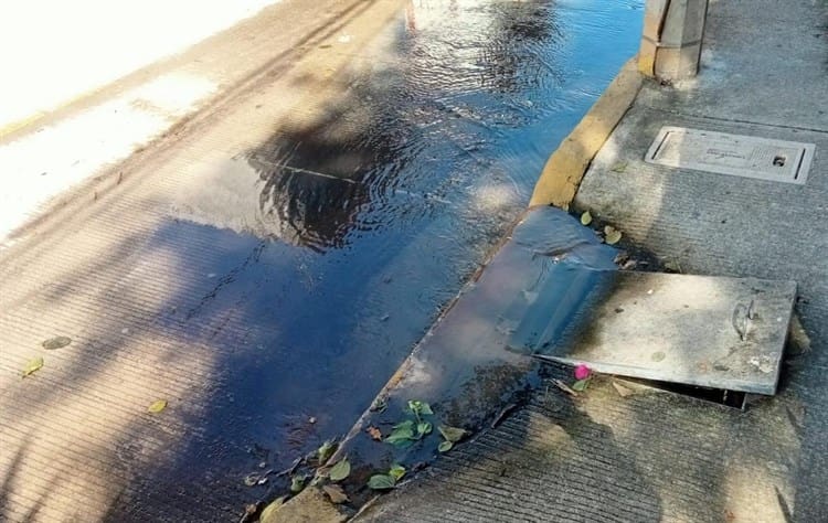 Vecinos en colonia de Veracruz viven entre aguas negras, urgen a Grupo MAS solución