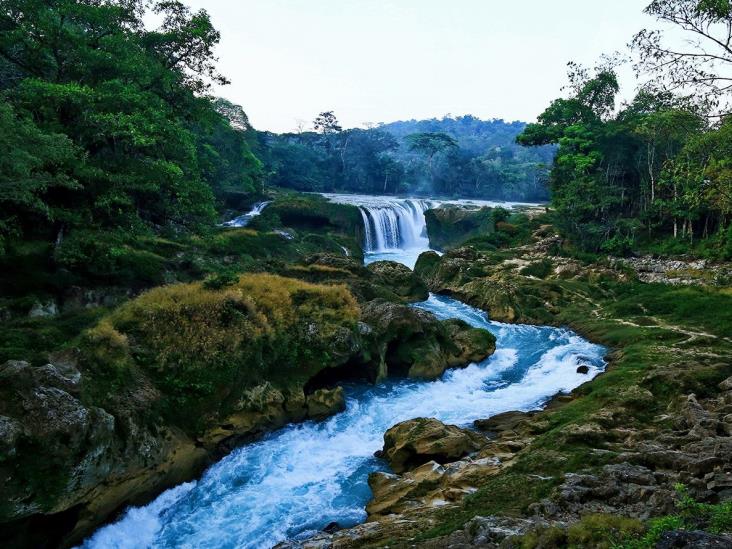 El 70% de las cuencas hidrológicas de Veracruz perdieron volumen de agua 