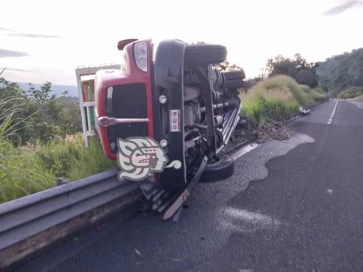 ¡Casi se desbarranca! Torton volcó en libramiento de Xalapa