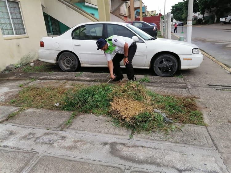 Inicia Tránsito de Medellín programa Enchula tu Calle