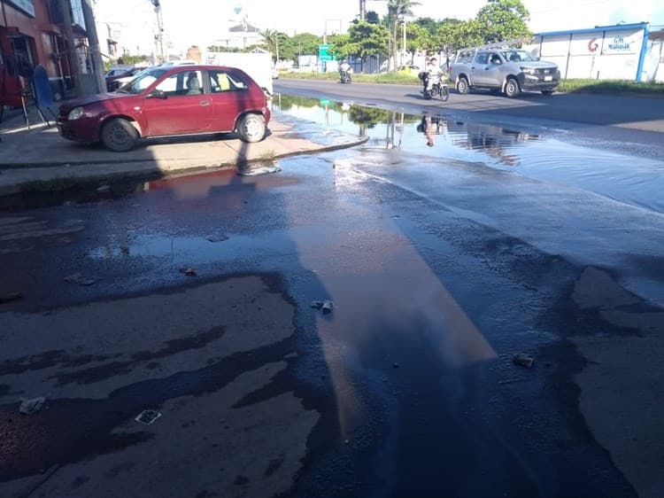 Piden el apoyo para eliminar encharcamiento de agua pluvial en colonia de Veracruz